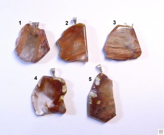 Dendriten Amphibole-Anhänger, Freiform, Metallöse